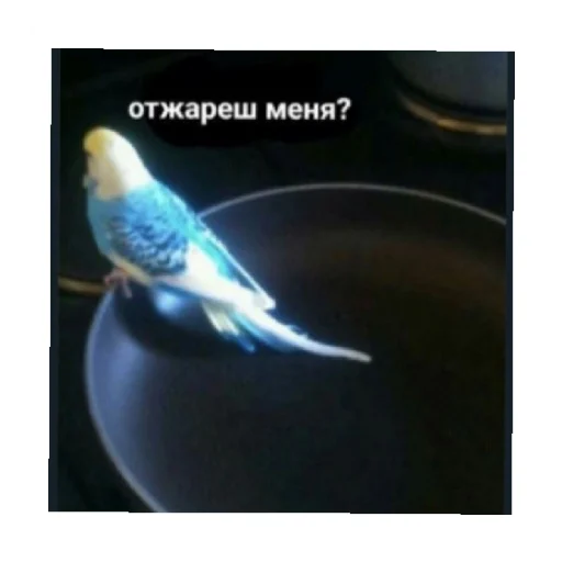 Эмодзи For every occasion