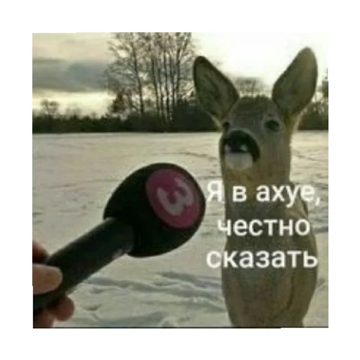Эмодзи For every occasion