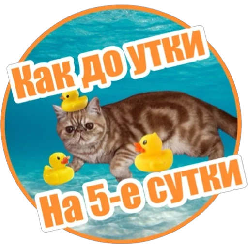 Эмодзи Фокс