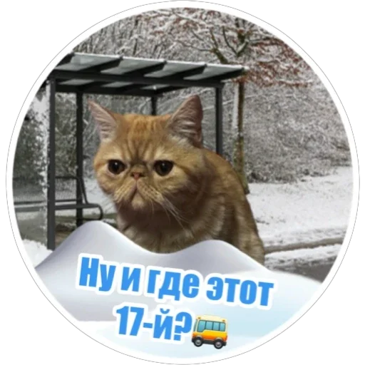 Эмодзи Фокс