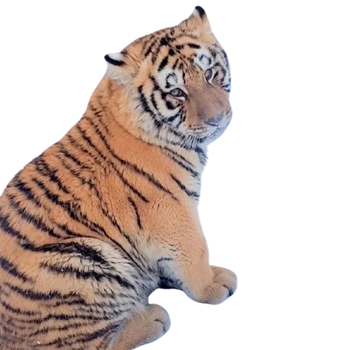 Эмодзи My freaky zoo