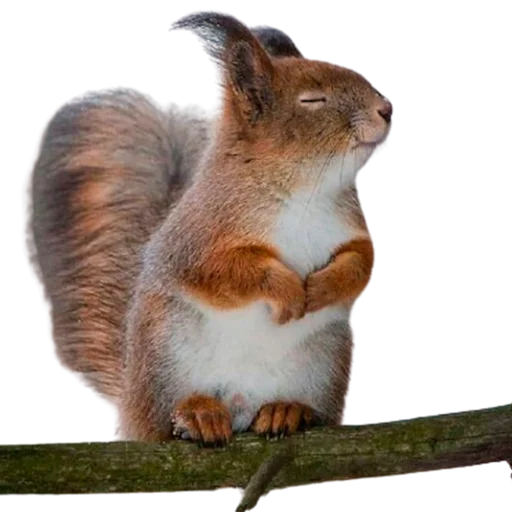 Эмодзи My freaky zoo