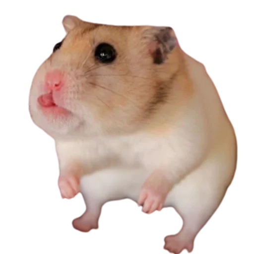 Эмодзи My freaky zoo