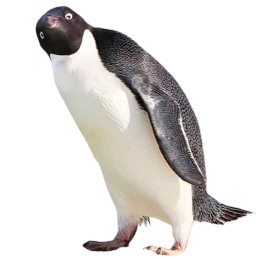 Эмодзи My freaky zoo