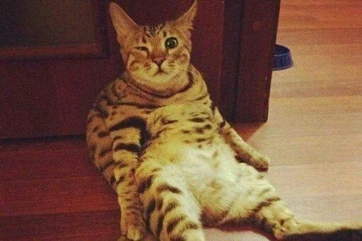 Эмодзи Free Cats Hugs