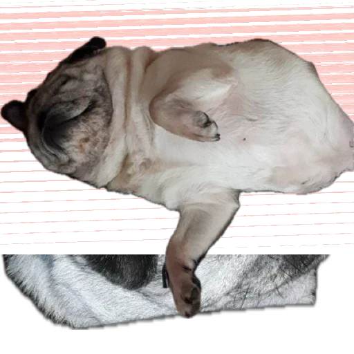 Эмодзи Фрося