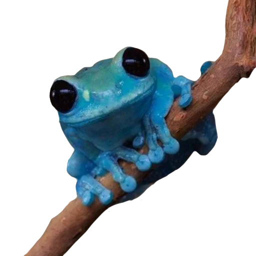 Эмодзи Жабьи лягушки