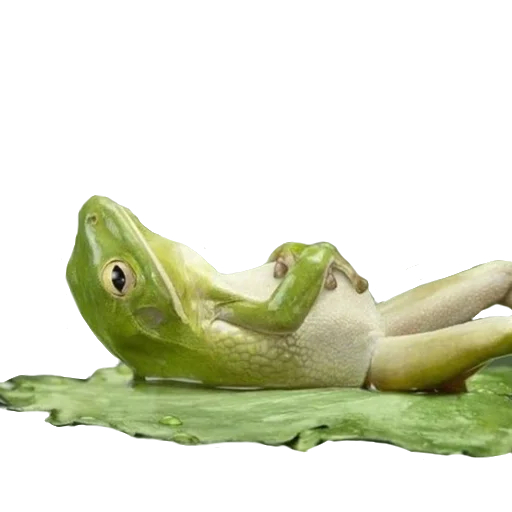 Эмодзи Жабьи лягушки
