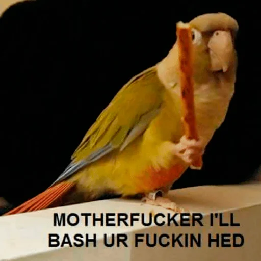 Эмодзи Parrots