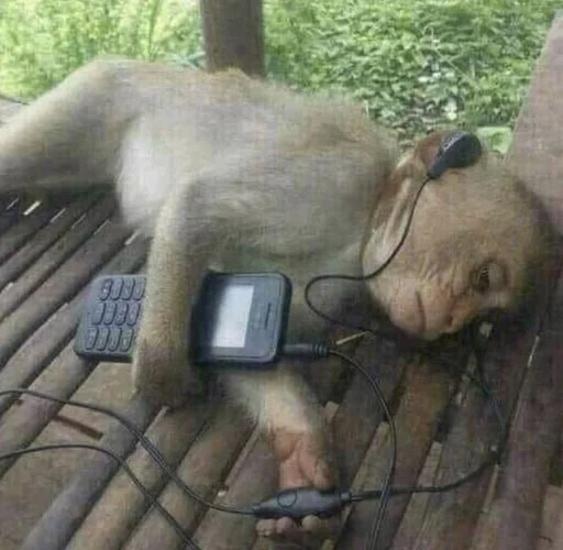 Эмодзи Обезьяны MP