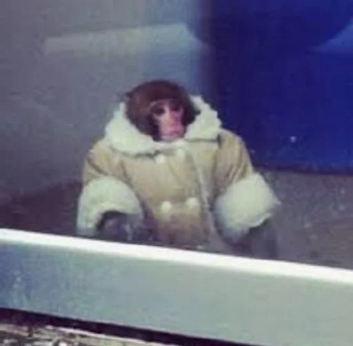 Эмодзи Обезьяны MP