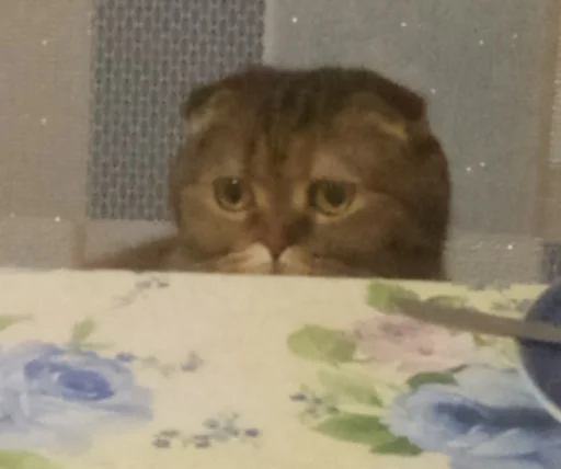 Эмодзи Мемы