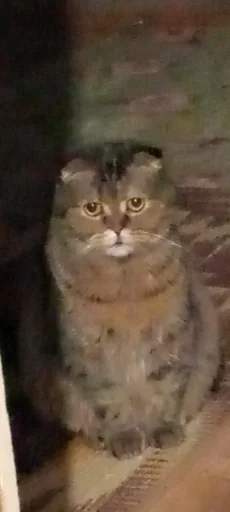 Эмодзи Мемы