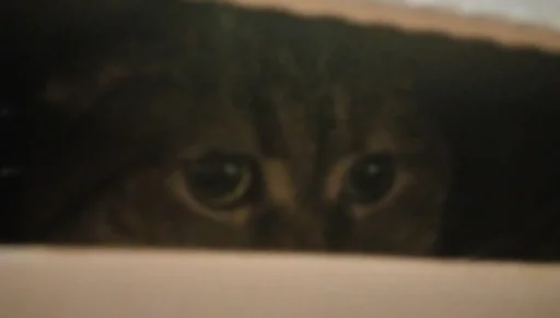 Эмодзи Мемы