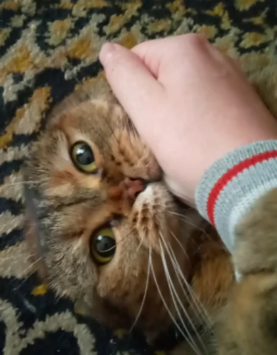 Эмодзи Мемы