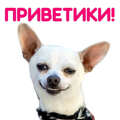 👋
