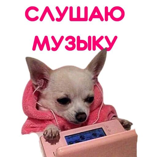 Эмодзи ЧИХУАХУА