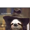 Эмодзи Funny Sloth
