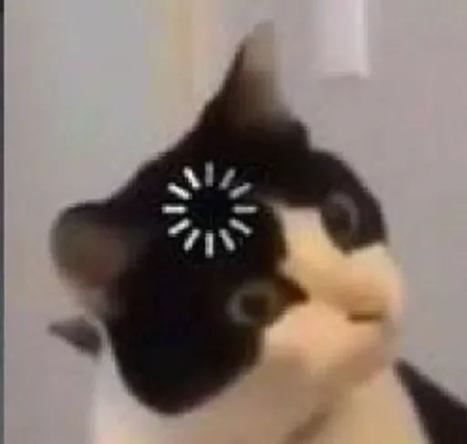 ?