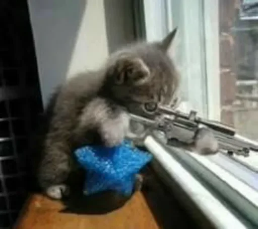 Эмодзи Котики