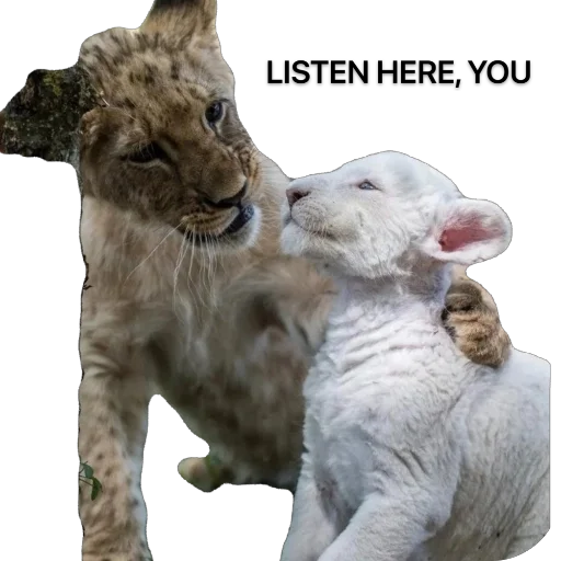 Эмодзи Funnymals