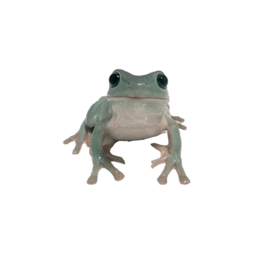 Эмодзи goblincore