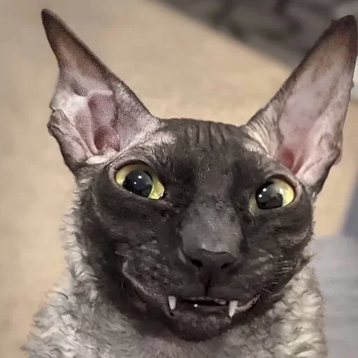 ?