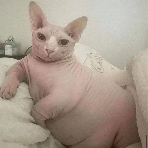 Эмодзи Cats