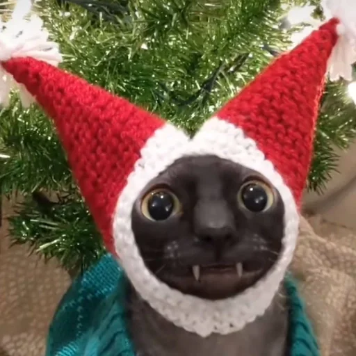 Эмодзи Cats