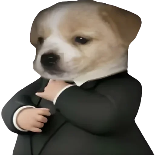 😎