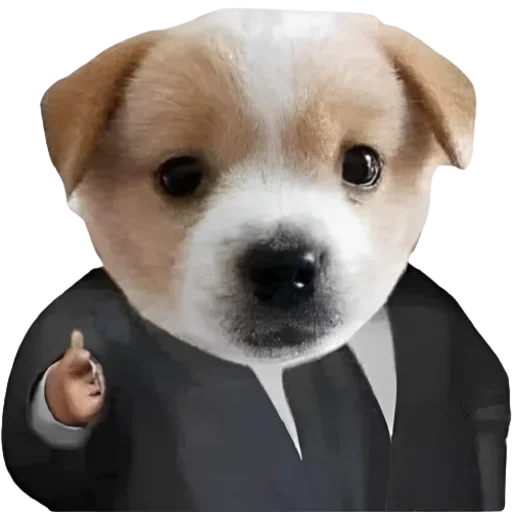 Эмодзи Animals
