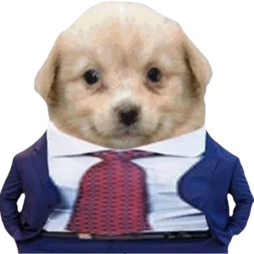Эмодзи Animals