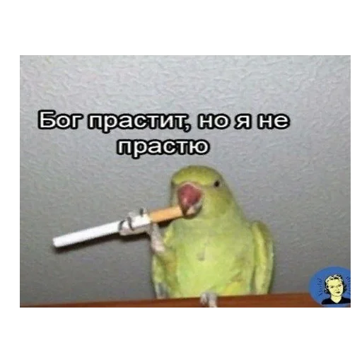 Эмодзи *Мемы на все случаи жизни*