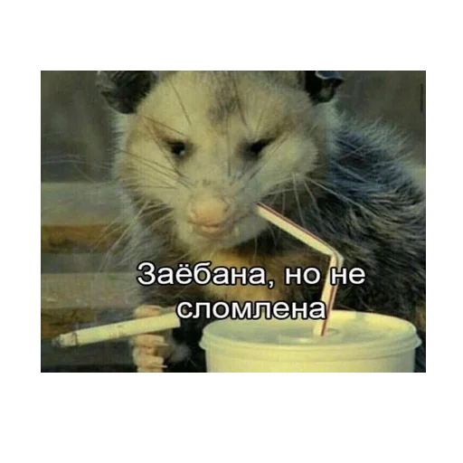 Эмодзи *Мемы на все случаи жизни*