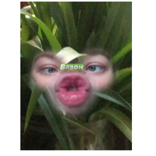 Эмодзи Тоха2.0