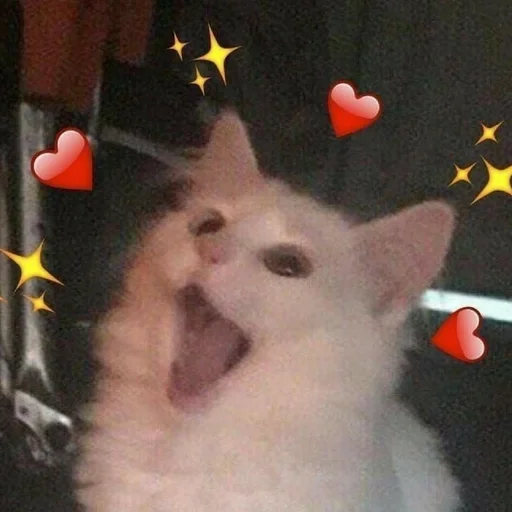 ❤️