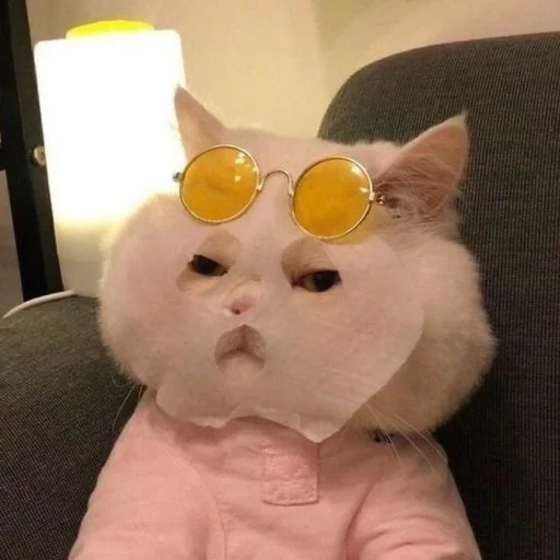 Эмодзи мяу мяу