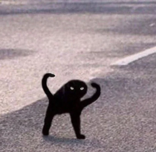 Эмодзи мяу мяу