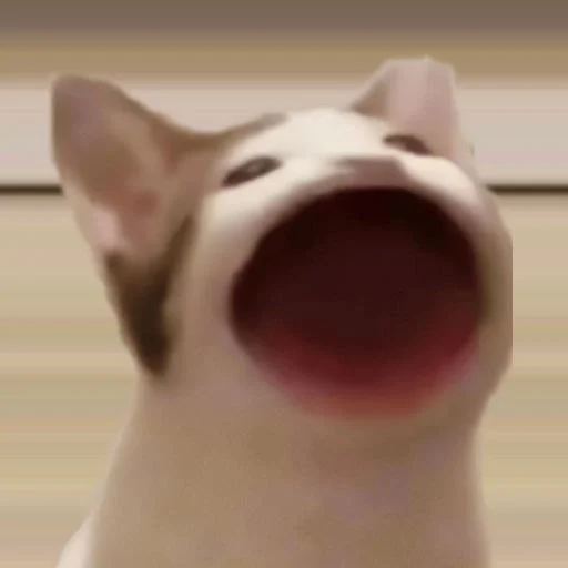 Эмодзи мяу мяу