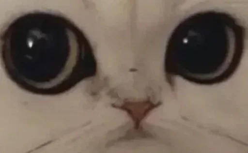 Эмодзи Glazaggg