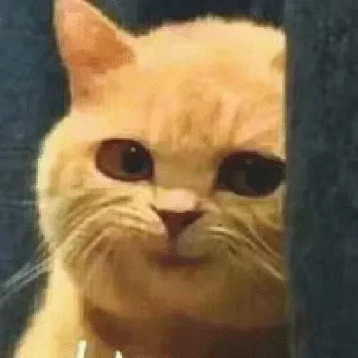 Эмодзи Glazaggg