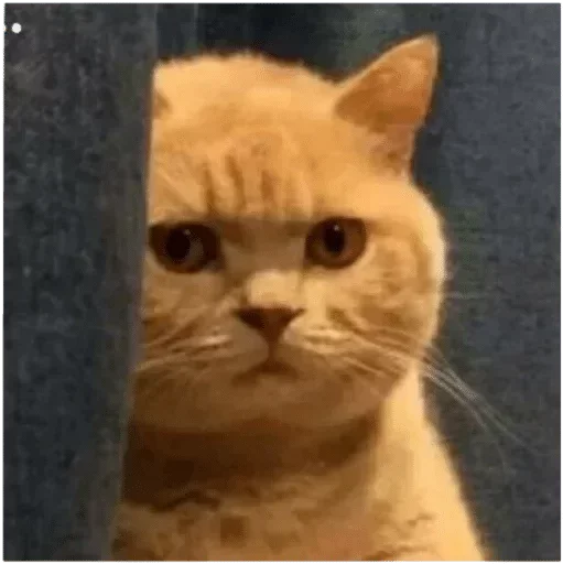 Эмодзи Glazaggg