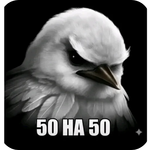 Эмодзи Birds Memes