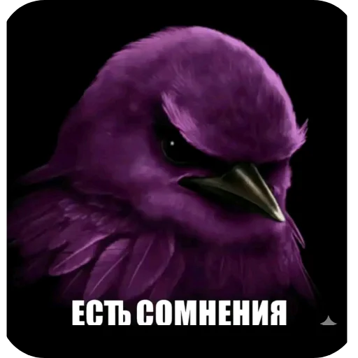 Эмодзи Birds Memes