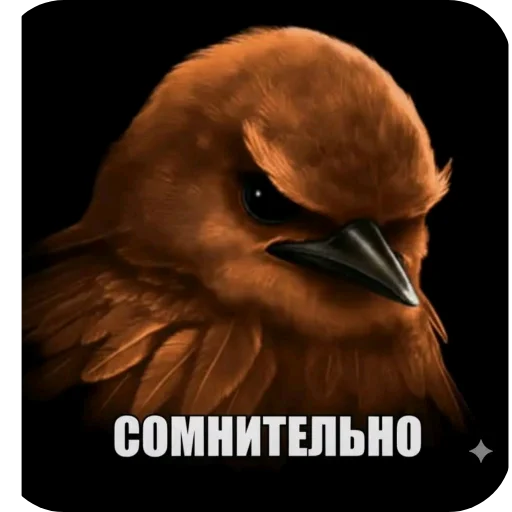Эмодзи Birds Memes