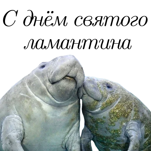 Эмодзи Гнилой романтичный