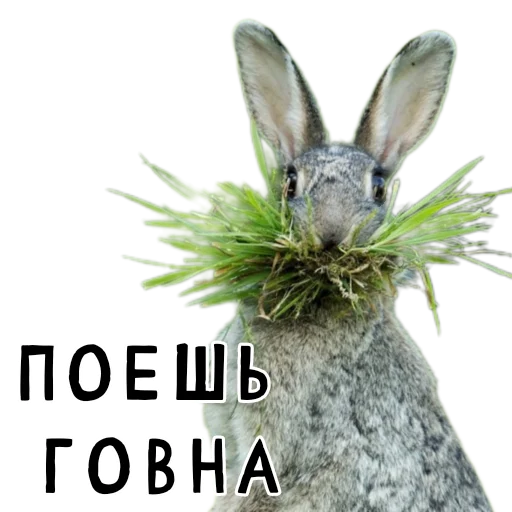 Эмодзи Гнилые кролики