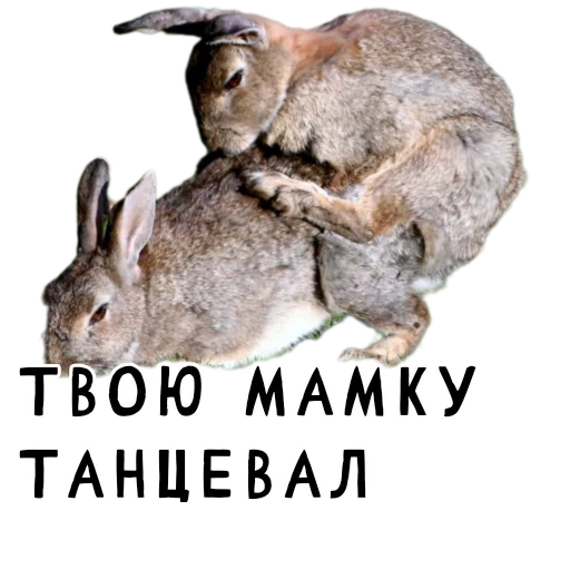 Эмодзи Гнилые кролики