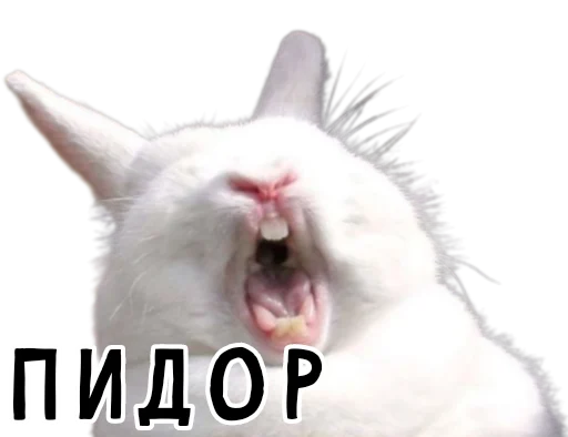 Эмодзи Гнилые кролики