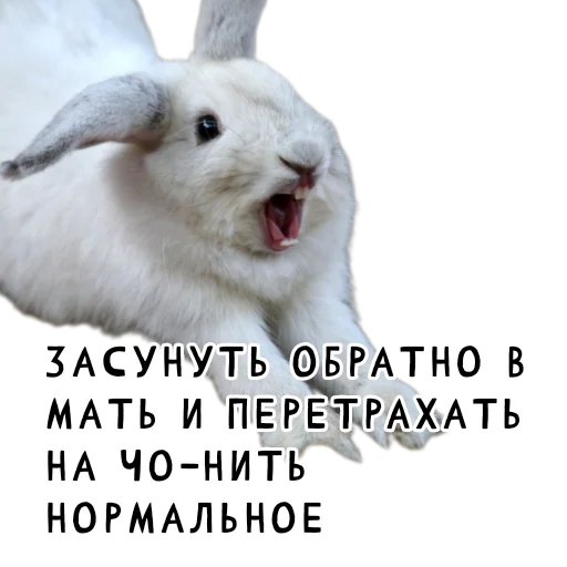 Эмодзи Гнилые кролики